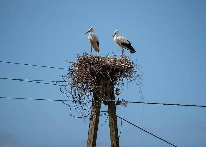 Summer House In D Browa By The Sea Tatil Evi